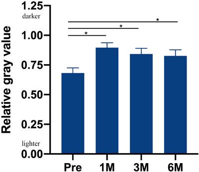 https://cdn.ncbi.nlm.nih.gov/pmc/blobs/9e66/10788582/0e19bb0c99e6/SRT-30-e13551-g001.jpg