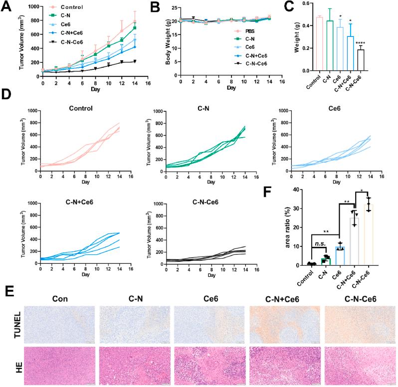 https://cdn.ncbi.nlm.nih.gov/pmc/blobs/9e66/9860483/5d9d1ceae6fe/gr7.jpg