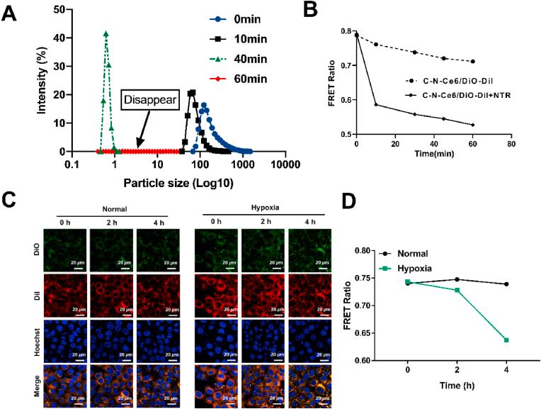 https://cdn.ncbi.nlm.nih.gov/pmc/blobs/9e66/9860483/792e589a1e27/gr2.jpg