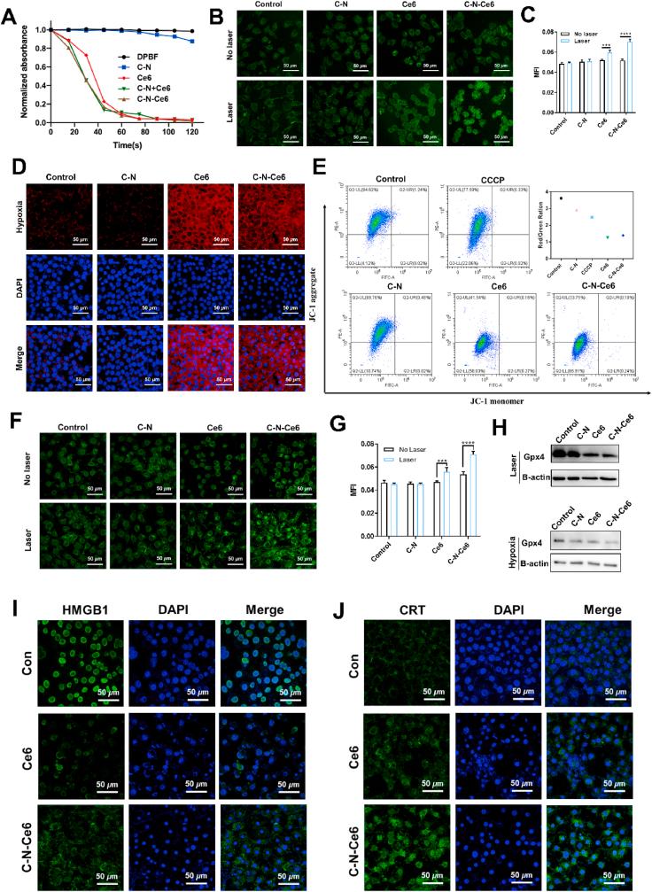 https://cdn.ncbi.nlm.nih.gov/pmc/blobs/9e66/9860483/ceb167cf94b5/gr5.jpg