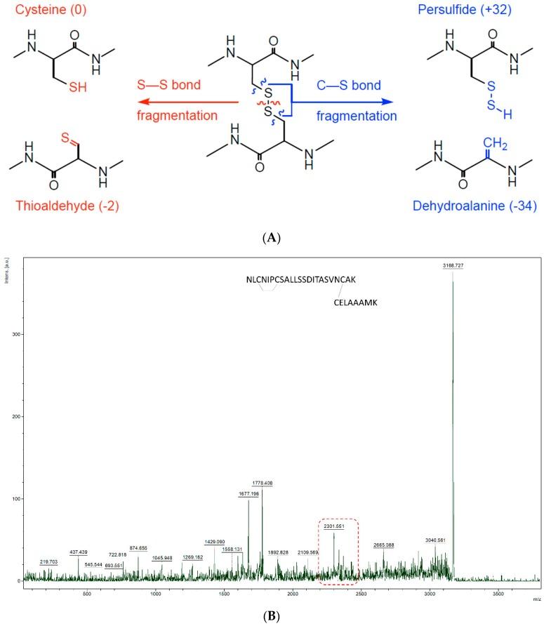 https://cdn.ncbi.nlm.nih.gov/pmc/blobs/9e6c/6481087/9b8cf60625f2/mps-01-00033-g003a.jpg