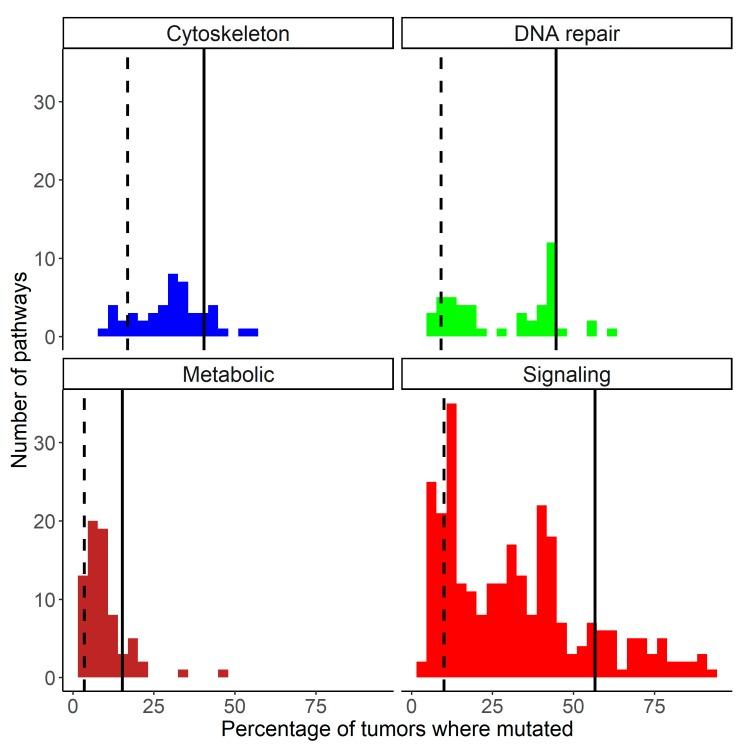 https://cdn.ncbi.nlm.nih.gov/pmc/blobs/9e6d/7073226/5dc87584a0e3/cancers-12-00271-g006.jpg