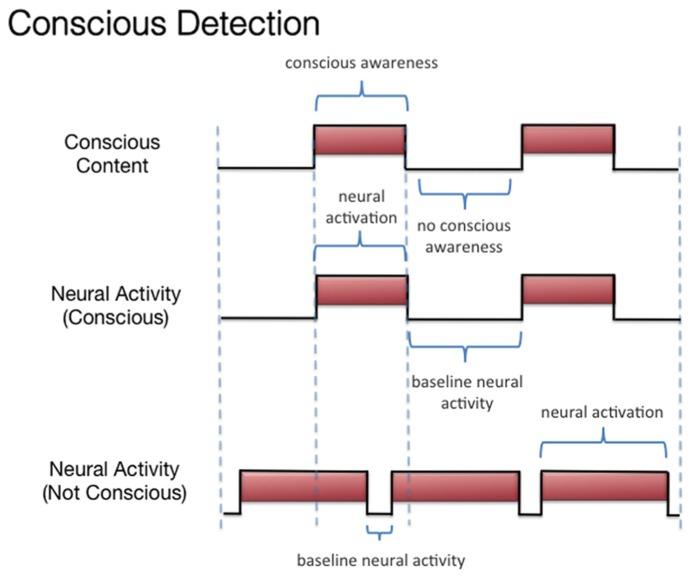 https://cdn.ncbi.nlm.nih.gov/pmc/blobs/9e6e/3887364/00eba65695ff/fpsyg-04-01011-g002.jpg