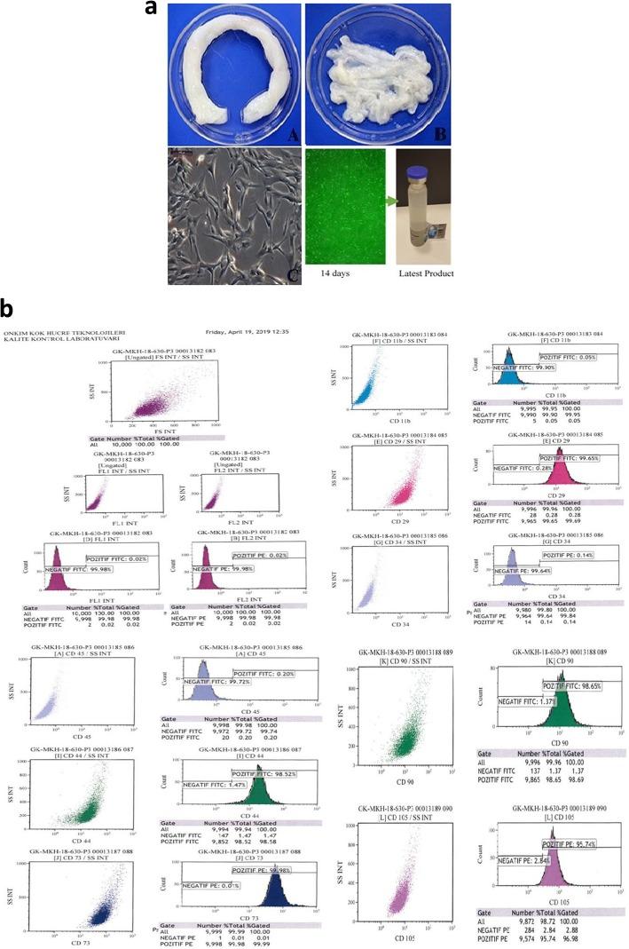 https://cdn.ncbi.nlm.nih.gov/pmc/blobs/9e6f/6958670/70a53f61ccb9/13287_2020_1549_Fig1_HTML.jpg