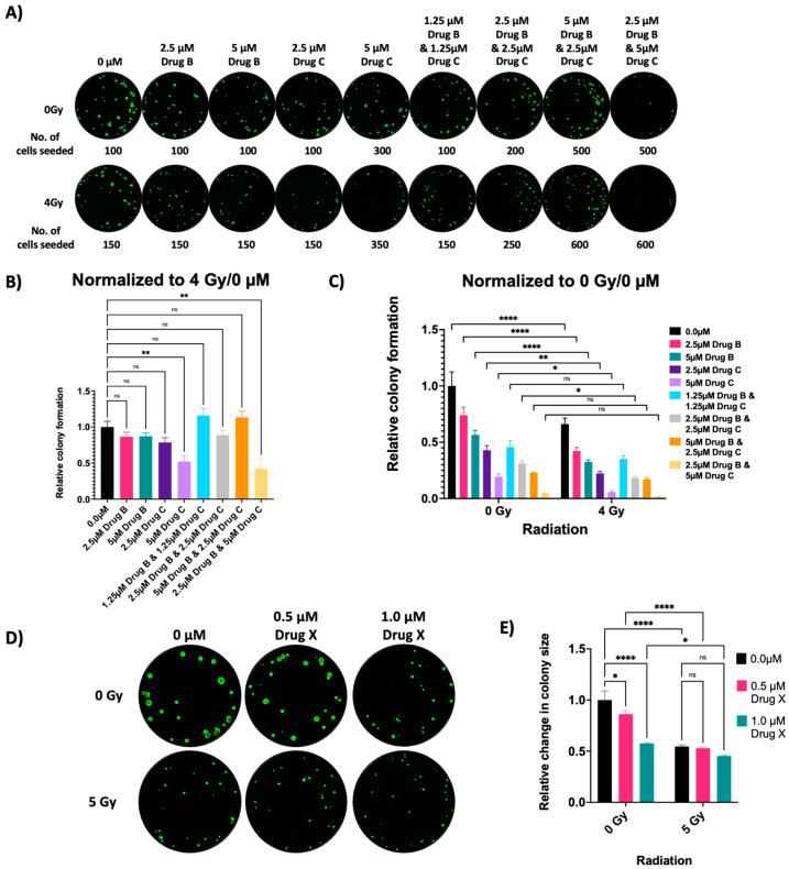 https://cdn.ncbi.nlm.nih.gov/pmc/blobs/9e70/11640616/6d707a2c362b/cells-13-01995-g002.jpg