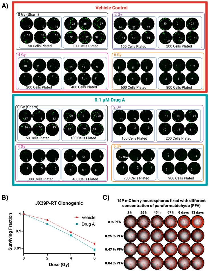 https://cdn.ncbi.nlm.nih.gov/pmc/blobs/9e70/11640616/8369ef1a1893/cells-13-01995-g001.jpg