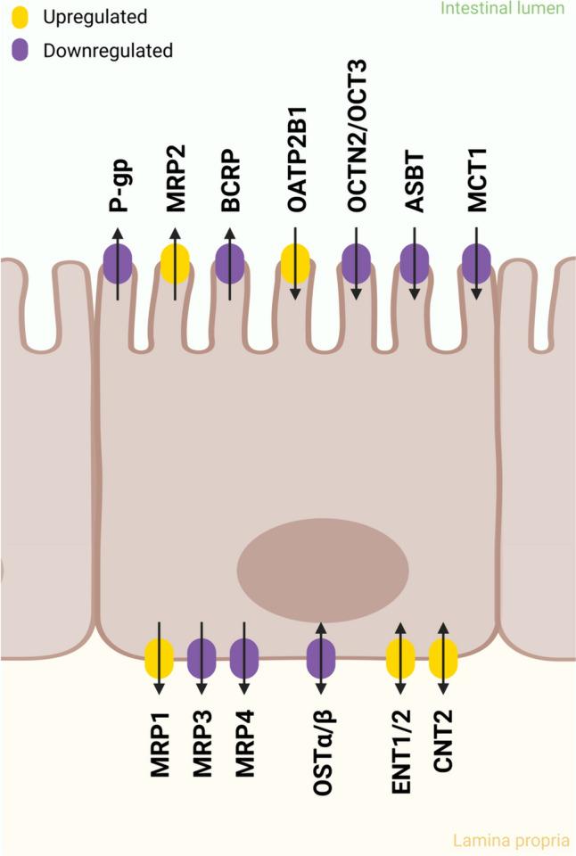 https://cdn.ncbi.nlm.nih.gov/pmc/blobs/9e71/11489187/d49c945adf12/204_2024_3844_Fig3_HTML.jpg