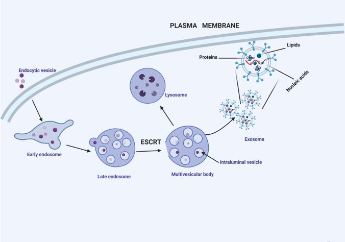 https://cdn.ncbi.nlm.nih.gov/pmc/blobs/9e71/12021721/a19517c146c9/10238_2025_1659_Fig1_HTML.jpg