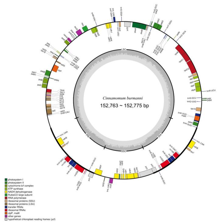 https://cdn.ncbi.nlm.nih.gov/pmc/blobs/9e72/10975451/ba85b41969bd/molecules-29-01206-g003.jpg