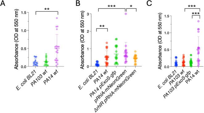 https://cdn.ncbi.nlm.nih.gov/pmc/blobs/9e75/11683784/37d7c9332ff0/fcimb-14-1478881-g002.jpg