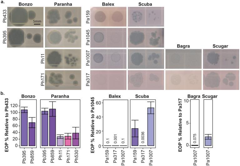 https://cdn.ncbi.nlm.nih.gov/pmc/blobs/9e75/12081417/3a86c426ed5c/fmicb-16-1537073-g003.jpg