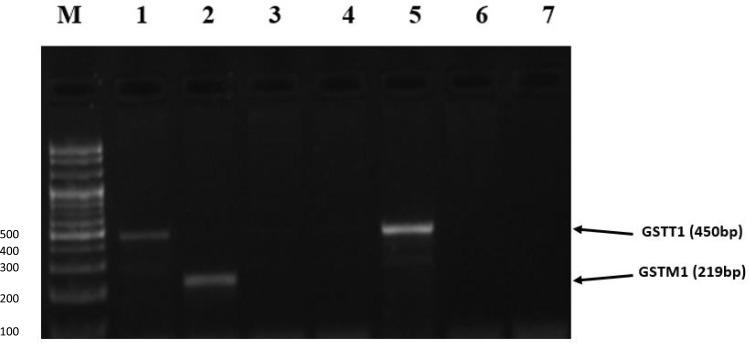 https://cdn.ncbi.nlm.nih.gov/pmc/blobs/9e76/9255407/eb64dc239da0/IJGM-15-5919-g0003.jpg