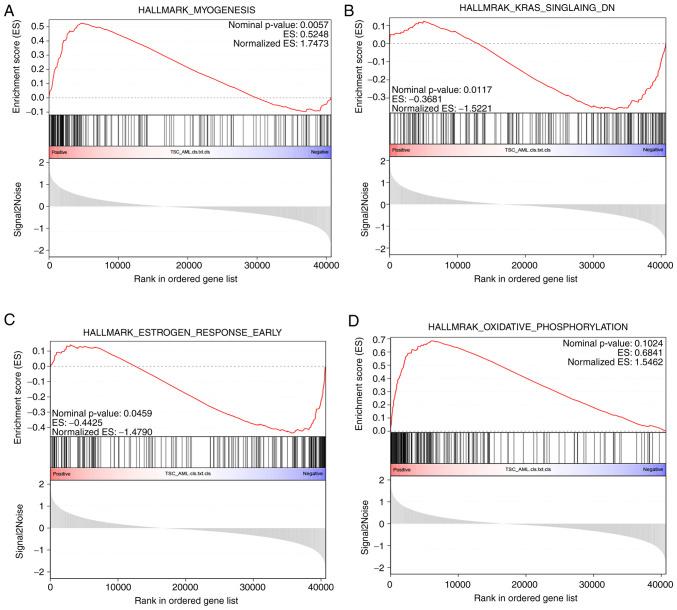 https://cdn.ncbi.nlm.nih.gov/pmc/blobs/9e76/9507092/6c3ec9e7f11f/IJO-61-5-05422-g09.jpg