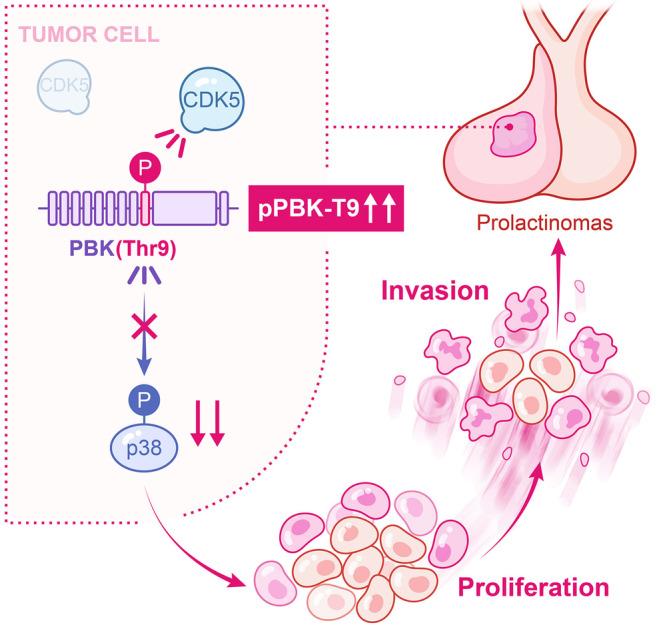 https://cdn.ncbi.nlm.nih.gov/pmc/blobs/9e79/10870245/02c9d6f66438/CNS-30-e14629-g006.jpg