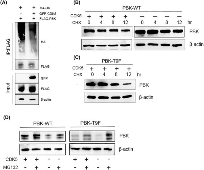 https://cdn.ncbi.nlm.nih.gov/pmc/blobs/9e79/10870245/0c4ead0ea686/CNS-30-e14629-g007.jpg