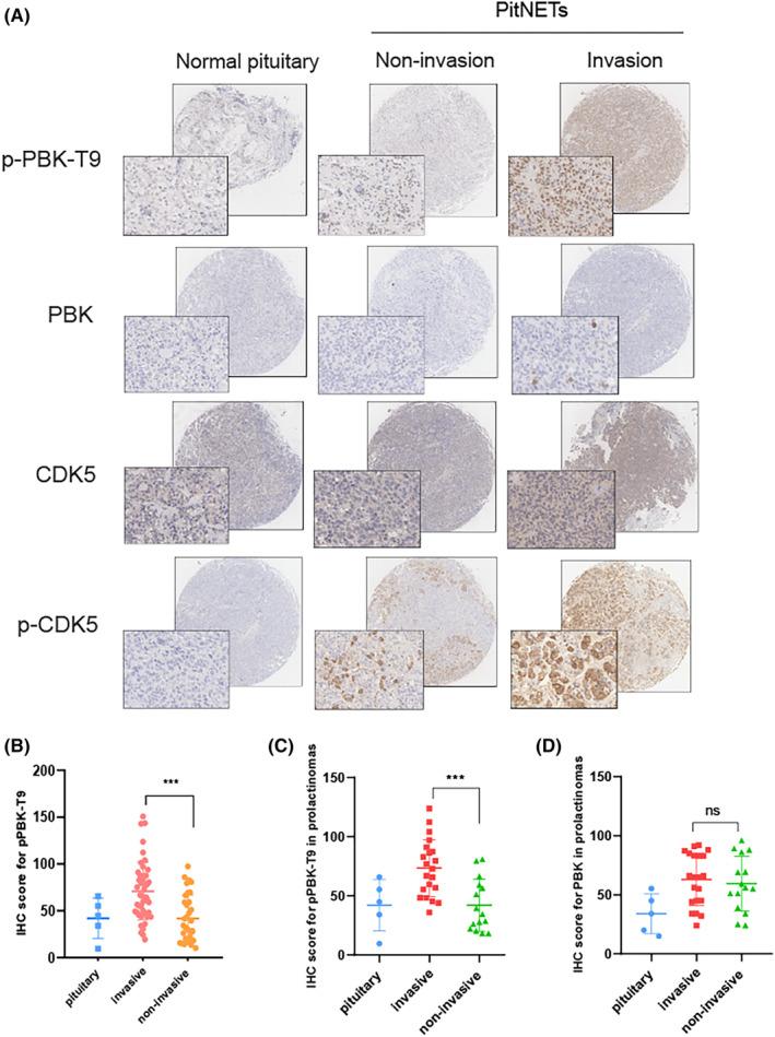 https://cdn.ncbi.nlm.nih.gov/pmc/blobs/9e79/10870245/6da55854c398/CNS-30-e14629-g004.jpg