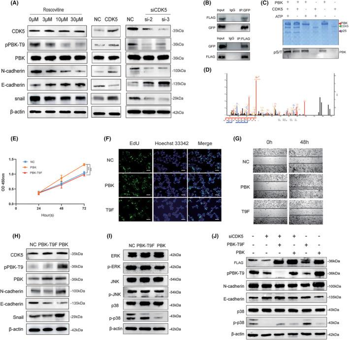 https://cdn.ncbi.nlm.nih.gov/pmc/blobs/9e79/10870245/b97baac5acf2/CNS-30-e14629-g001.jpg