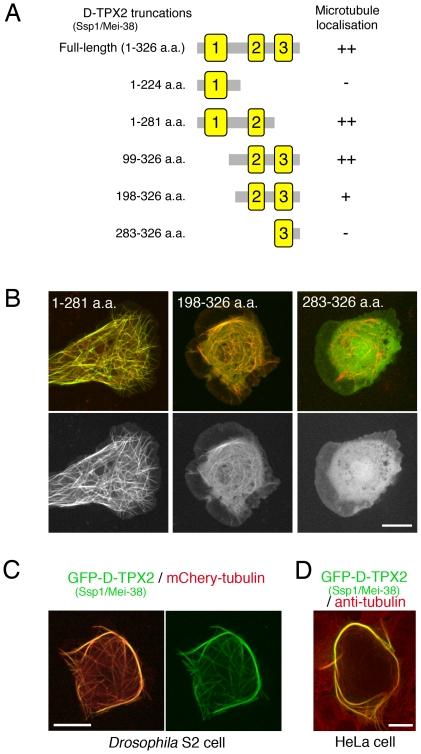 https://cdn.ncbi.nlm.nih.gov/pmc/blobs/9e7a/3227607/7b2b95bba92e/pone.0028120.g003.jpg