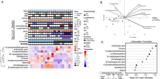 https://cdn.ncbi.nlm.nih.gov/pmc/blobs/9e7f/7952596/519e163f5db3/41419_2021_3540_Fig4_HTML.jpg