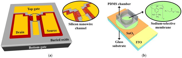 https://cdn.ncbi.nlm.nih.gov/pmc/blobs/9e80/8235453/b7f6c2aa4db0/sensors-21-04213-g003.jpg