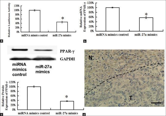 https://cdn.ncbi.nlm.nih.gov/pmc/blobs/9e83/4834012/cc32080b09ea/CMJ-128-941-g003.jpg