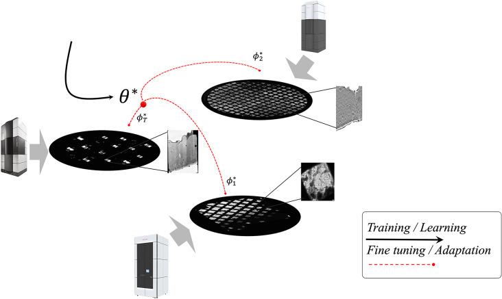 https://cdn.ncbi.nlm.nih.gov/pmc/blobs/9e88/11828963/8a679b62db46/41598_2025_86308_Fig2_HTML.jpg