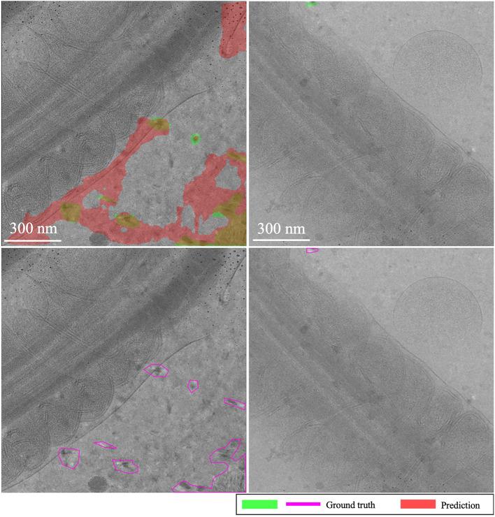 https://cdn.ncbi.nlm.nih.gov/pmc/blobs/9e88/11828963/a77f3b5472d9/41598_2025_86308_Fig16_HTML.jpg