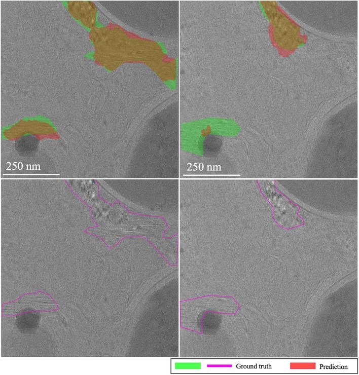 https://cdn.ncbi.nlm.nih.gov/pmc/blobs/9e88/11828963/b1666d6c984d/41598_2025_86308_Fig20_HTML.jpg