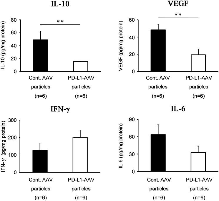 https://cdn.ncbi.nlm.nih.gov/pmc/blobs/9e8a/12012987/bcf53de1865f/12885_2025_14093_Fig6_HTML.jpg