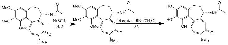 https://cdn.ncbi.nlm.nih.gov/pmc/blobs/9e8c/12347769/50c6655026ce/ijms-26-07591-g004.jpg