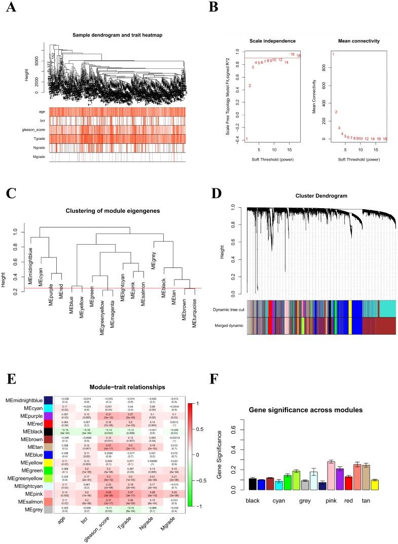 https://cdn.ncbi.nlm.nih.gov/pmc/blobs/9e8c/6660050/8c1074d49461/aging-11-102087-g005.jpg