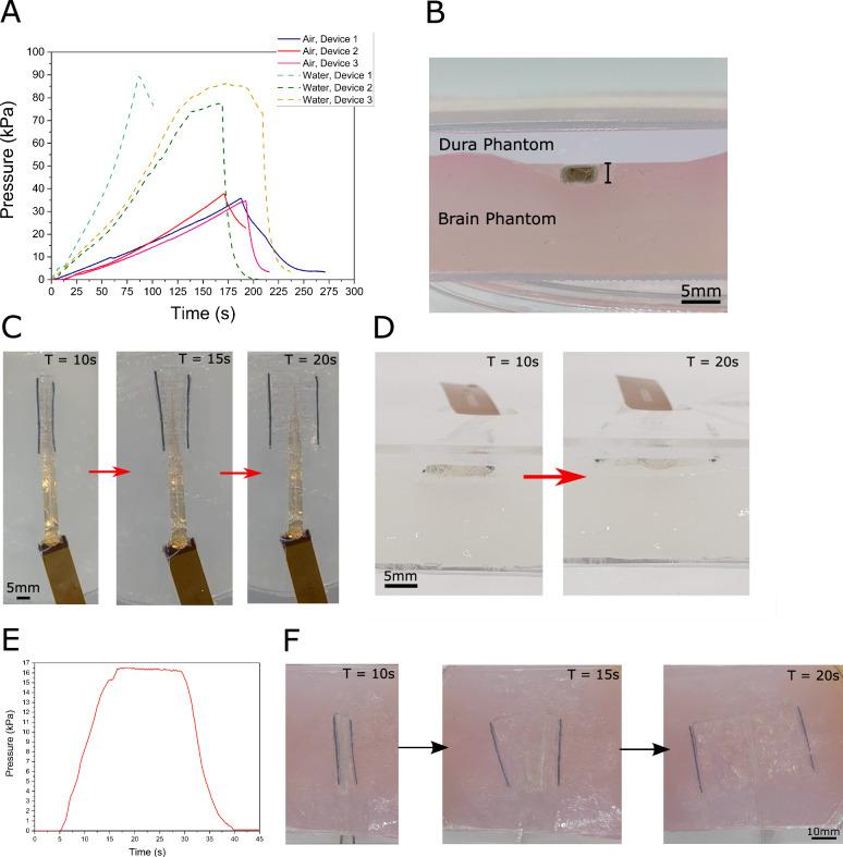 https://cdn.ncbi.nlm.nih.gov/pmc/blobs/9e8d/11282215/b7224b898bc7/41467_2024_50597_Fig2_HTML.jpg