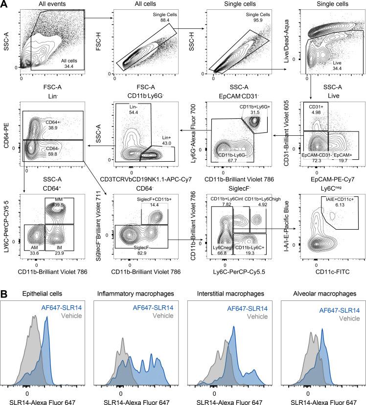 https://cdn.ncbi.nlm.nih.gov/pmc/blobs/9e8f/8590200/1b95a424883b/JEM_20211818_FigS5.jpg