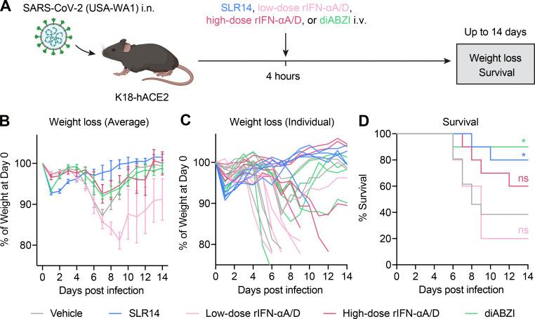 https://cdn.ncbi.nlm.nih.gov/pmc/blobs/9e8f/8590200/3052d26458c4/JEM_20211818_Fig3.jpg