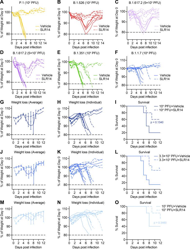 https://cdn.ncbi.nlm.nih.gov/pmc/blobs/9e8f/8590200/efb1d1c830ed/JEM_20211818_FigS4.jpg