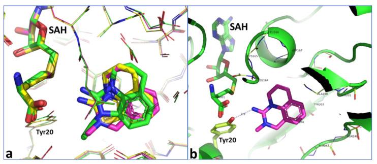 https://cdn.ncbi.nlm.nih.gov/pmc/blobs/9e92/7918612/3a0f10a97f5a/molecules-26-00991-g011.jpg