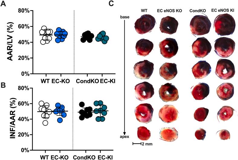 https://cdn.ncbi.nlm.nih.gov/pmc/blobs/9e92/9241051/4abbcc95d712/gr3.jpg
