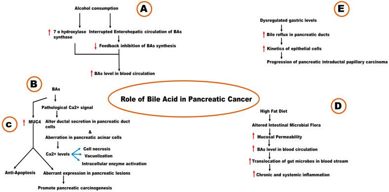 https://cdn.ncbi.nlm.nih.gov/pmc/blobs/9e94/11278541/875e107f5d15/metabolites-14-00348-g004.jpg
