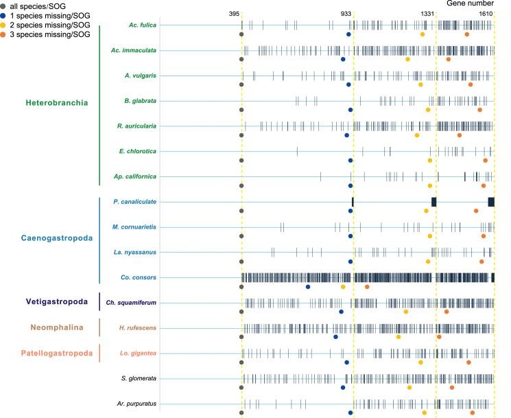 https://cdn.ncbi.nlm.nih.gov/pmc/blobs/9e95/9048639/2ab22478c4cc/peerj-10-13285-g001.jpg