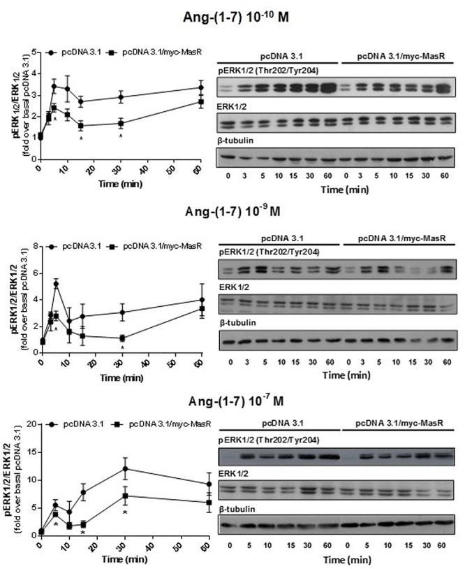 https://cdn.ncbi.nlm.nih.gov/pmc/blobs/9e96/6395383/52531c921cf2/fphar-10-00146-g005.jpg