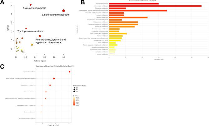 https://cdn.ncbi.nlm.nih.gov/pmc/blobs/9e97/11557697/42063fff8aad/41598_2024_75734_Fig3_HTML.jpg