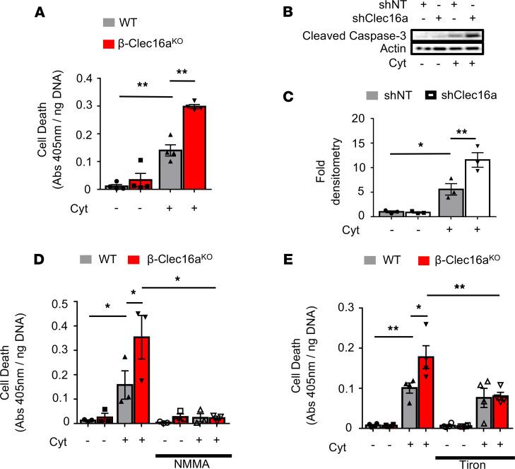 https://cdn.ncbi.nlm.nih.gov/pmc/blobs/9e97/7819751/e21606f4fd0f/jciinsight-5-141138-g089.jpg