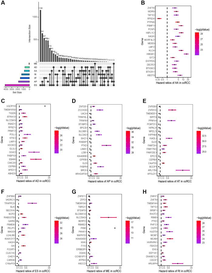 https://cdn.ncbi.nlm.nih.gov/pmc/blobs/9e98/11210227/bf407893a06d/aging-16-205915-g002.jpg