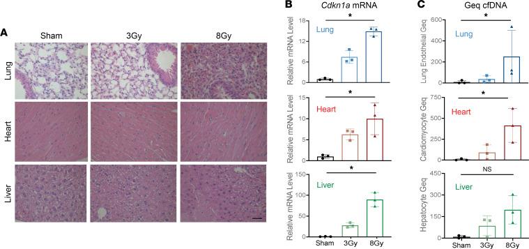 https://cdn.ncbi.nlm.nih.gov/pmc/blobs/9e99/10443812/7b7f2dc26b87/jciinsight-8-156529-g079.jpg