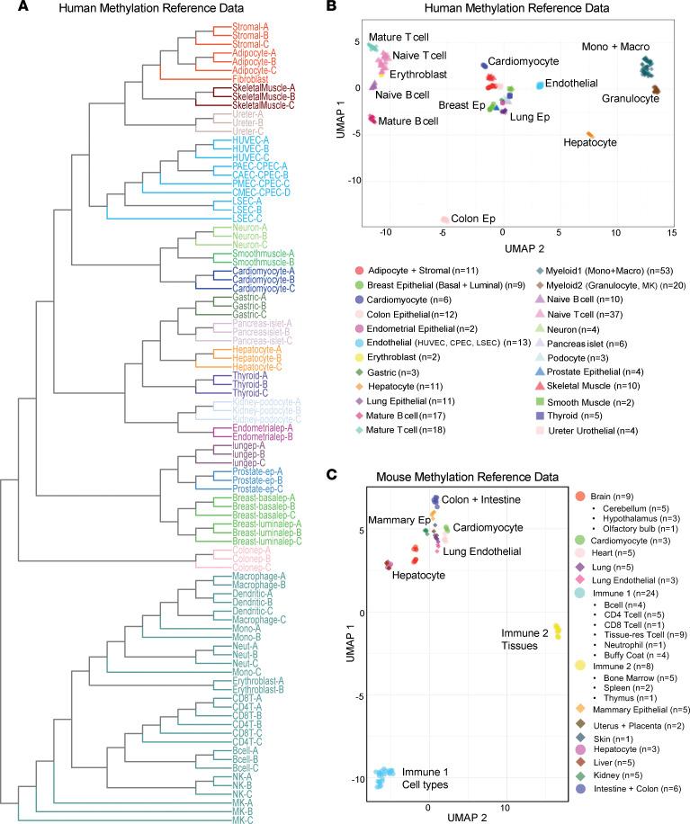 https://cdn.ncbi.nlm.nih.gov/pmc/blobs/9e99/10443812/7d481b49c3e9/jciinsight-8-156529-g076.jpg