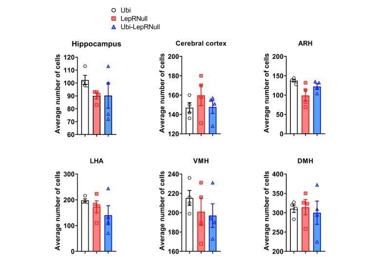 https://cdn.ncbi.nlm.nih.gov/pmc/blobs/9e99/6384028/15f62b8cb0f5/elife-40970-resp-fig7.jpg