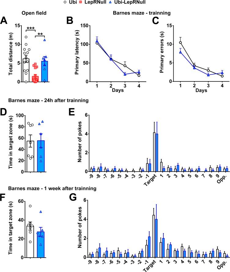 https://cdn.ncbi.nlm.nih.gov/pmc/blobs/9e99/6384028/28820df88121/elife-40970-fig7-figsupp1.jpg