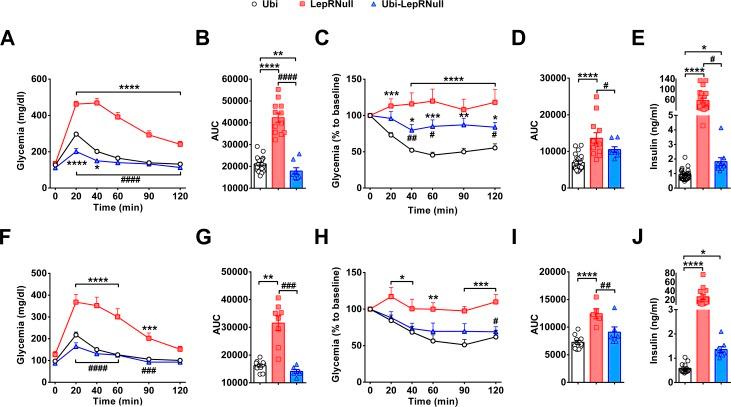 https://cdn.ncbi.nlm.nih.gov/pmc/blobs/9e99/6384028/9136cf08a792/elife-40970-fig4.jpg