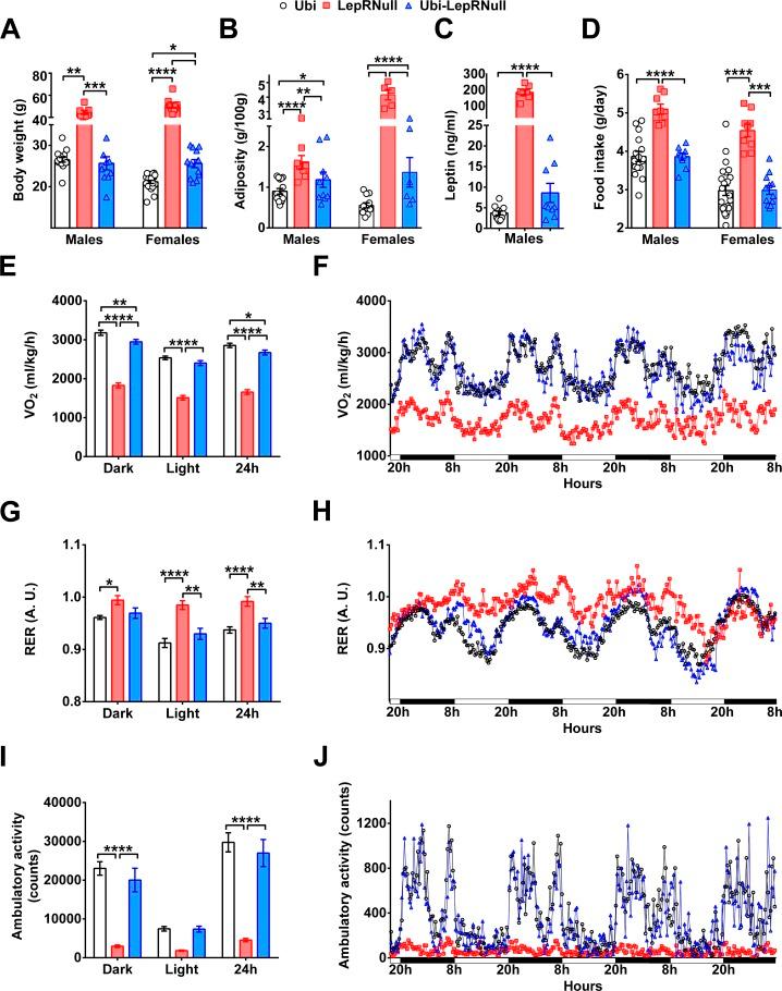 https://cdn.ncbi.nlm.nih.gov/pmc/blobs/9e99/6384028/d024e2b660ce/elife-40970-fig5.jpg