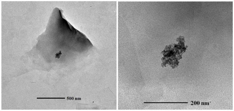 https://cdn.ncbi.nlm.nih.gov/pmc/blobs/9e9b/5302499/4bc61f6d34c8/nanomaterials-06-00090-g006.jpg